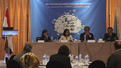Inclusive and sustainable industrial development: Investing in Egypt’s future